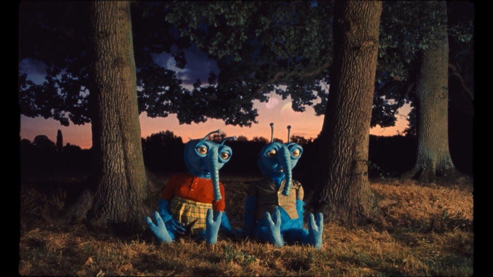 Extrait du Clip Tendresse sur canapé (Zite & Léo)