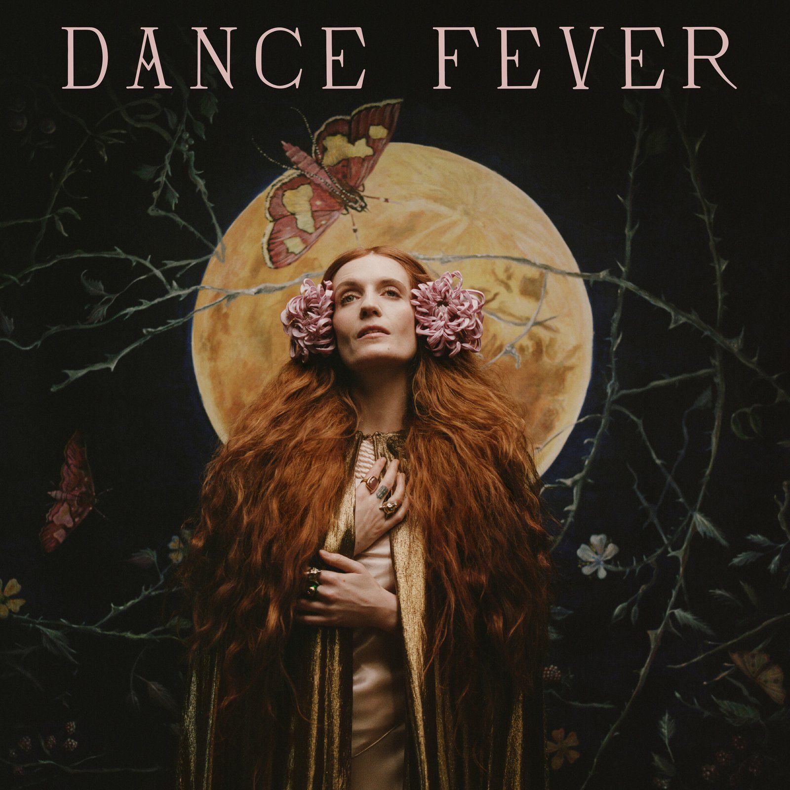 Pochette de l'album Dance Fever