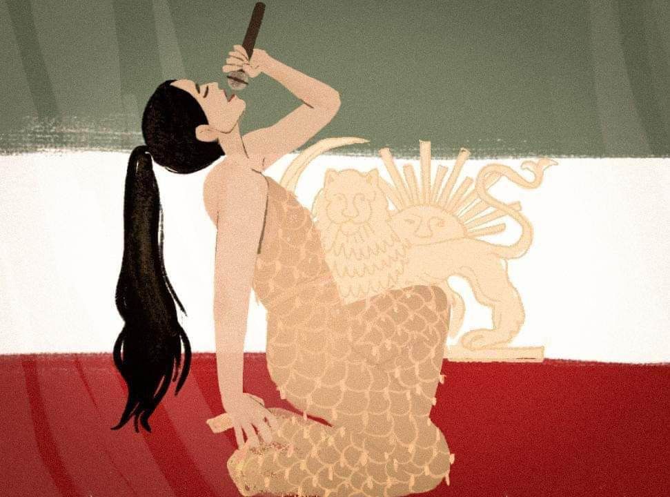 Illustration : Camille Scali